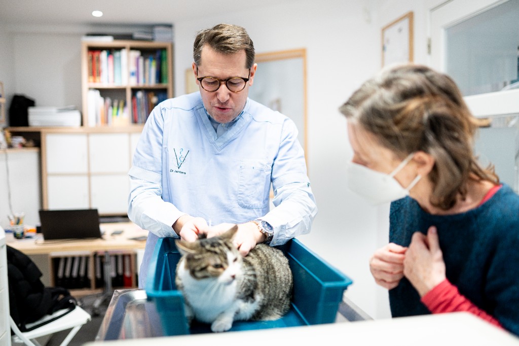 Bilan de santé avec stéthoscope