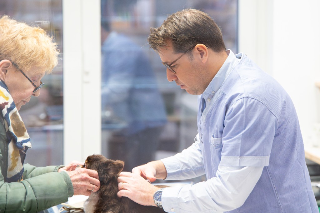 Vaccination au cabinet