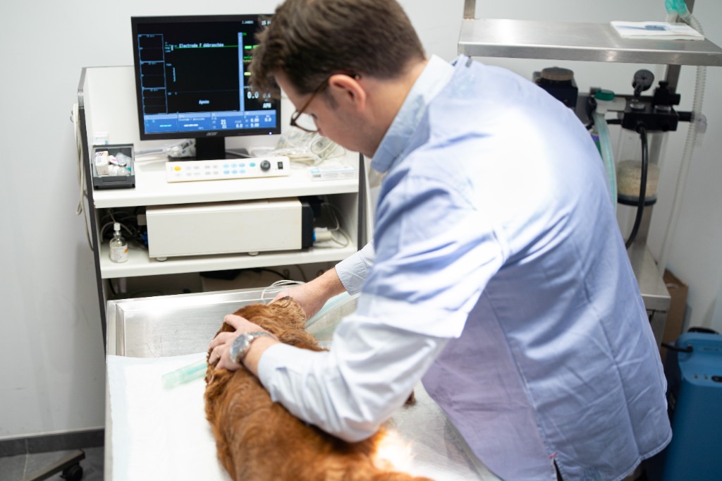 Salle de bloc opératoire et monitoring du patient