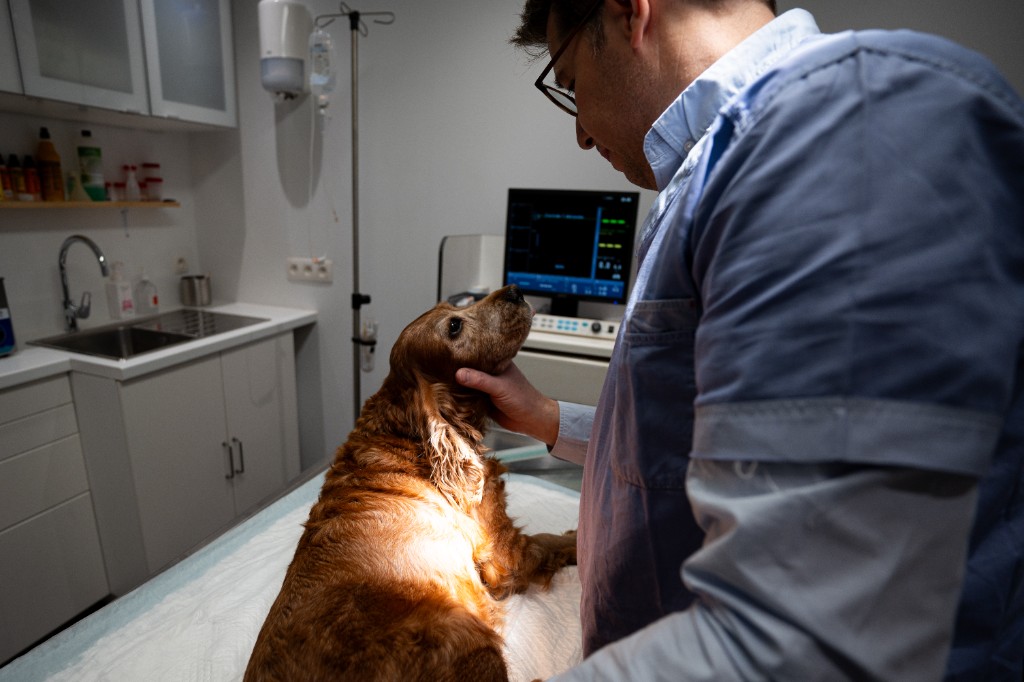 Examen au cabinet sur table