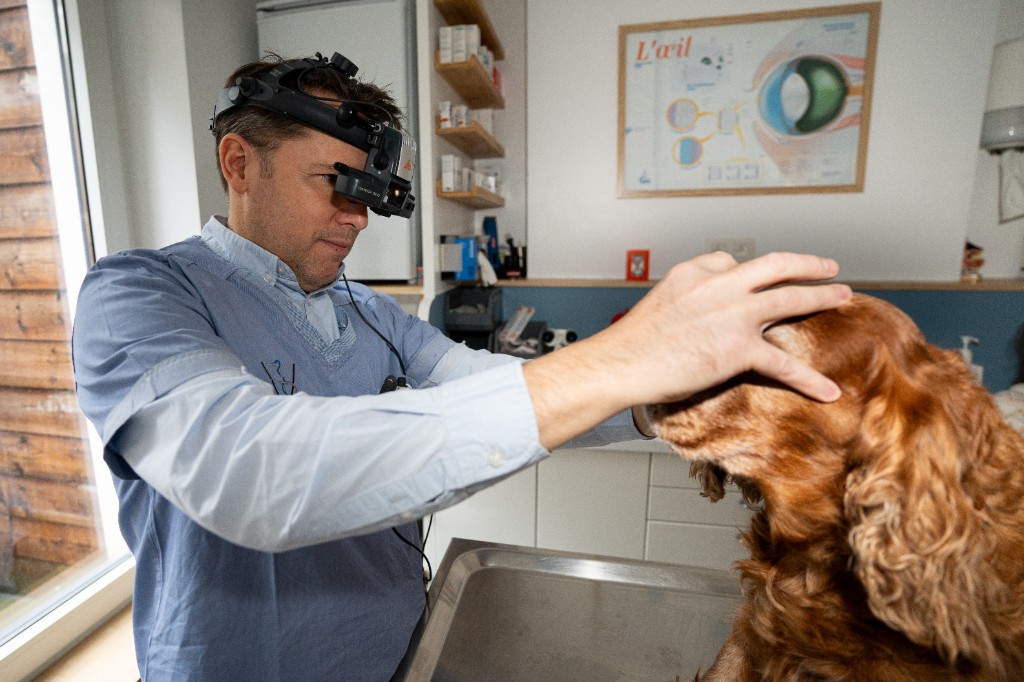 Examen ophtalmologique au cabinet avec ophtalmoscope